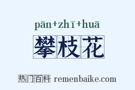 攀枝花是什么意思的图片
